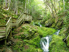 Fundy National Park of Canada 9.jpg