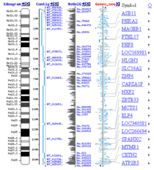 Archivo:Genome viewer screenshot small