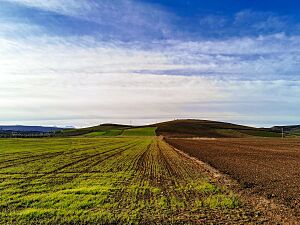 Archivo:Heading south from Campillos - 53709662500