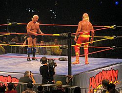 Archivo:Hogan Vs Flair