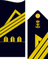 Infmaridivi10