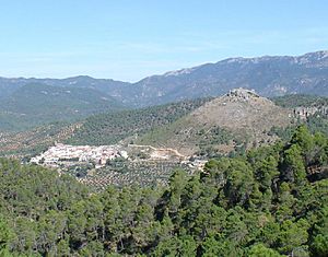 Archivo:JDCANO Cotillas