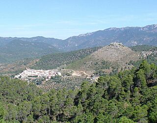 JDCANO Cotillas.jpg