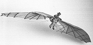 Archivo:Jan Wnek Model