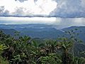 Jayuya