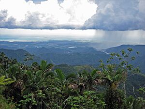 Archivo:Jayuya