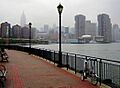 Kips Bay drizzle jeh crop