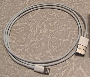 Archivo:Lightning to USB Cable