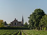Merselo, dorpszicht met toren van de Johannes de Doper - Sint Janskerk RM37221 foto2 2014-05-18 09.27
