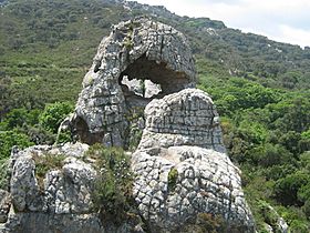 Montera de Torero 01.JPG