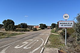 Moraleja de Sayago - cartel.jpg