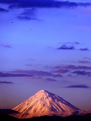 Archivo:Mount Damavand and birds