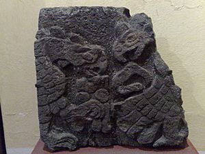 Archivo:Museo de sitio, Santa Cecilia Acatitlán 03