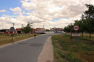 Papatrigo, desde carretera de Narros.jpg