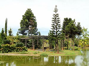 Archivo:Pond - Jardim Botânico de Brasília - DSC09729