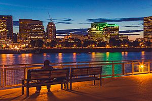 Archivo:Portland Riverbank Skyline at Night (17872048486)