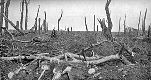 Archivo:Pozieres view north 28 August 1916