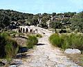 Puente Mocho