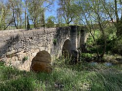 Archivo:Puente de Arriba (Pinilla Trasmonte) 06