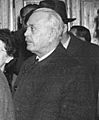 Rónai Sándor (crop)