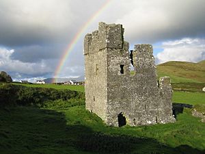 Archivo:Rahinnane Castle - geograph.org.uk - 257388
