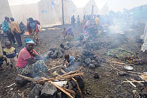 Archivo:Refugee camp in Congo 2008