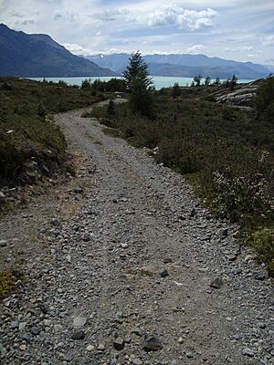 Archivo:Rocky Road on Chilean Side of Pass to Lago Desierto (3259938855)