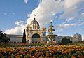 Royal exhibition building tulips straight