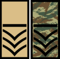 SM2MNB