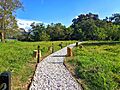 Sendero Ecológico Charca de Guarinocito1