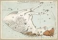 Sidney Hall - Urania's Mirror - Pegasus and Equuleus (best currently available version - 2014)