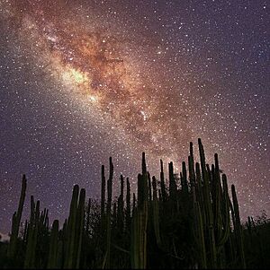 Archivo:Starry Night in the Mexican Desert