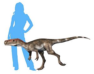 Archivo:Staurikosaurus new NT