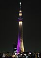 Tokyo Skytree at night (Miyabi)