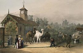 Archivo:View of the Zoological Gardens1835