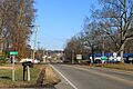 White Pine Tennesse 25E