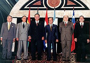Archivo:XII Cumbre de Presidentes del Mercosur - foto oficial
