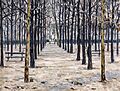 (Barcelona) A Winter Day in the Jardin du Luxembourg by Marià Pidelaserra in MNAC