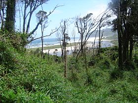 Abtao-Parque Nacional Chiloé.jpg