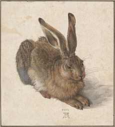 Archivo:Albrecht Dürer - Hare, 1502 - Google Art Project