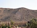 Arica010