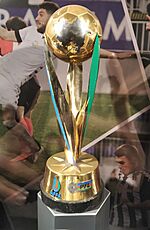 Azerbaijan Cup trophy.jpg