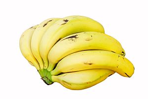 Archivo:Bananas white background DS