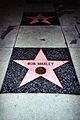 Bob-Star