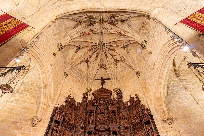Cáceres Co-Cathedral 2023 - vault