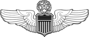 Archivo:COMMAND PILOT WINGS