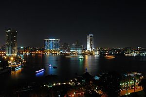Archivo:Cairo by night
