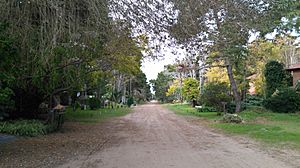 Archivo:Calle Costa del Este, Provincia de Buenos Aires, Argentina
