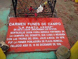 Archivo:Carmen Funes Placa