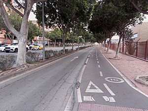 Archivo:Carril bici en Almería 03